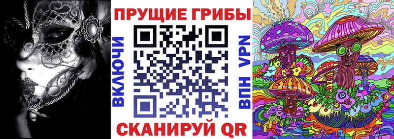 цены   Саранск  Псилоцибиновые грибы Magic Shrooms 